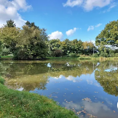 Familiale Tout Confort Avec Jardin, Animaux, Piscine Chauffee Et Etangs A - Fr-1-600-214 فندق مبيت وإفطار Saint-Thomas-de-Courceriers