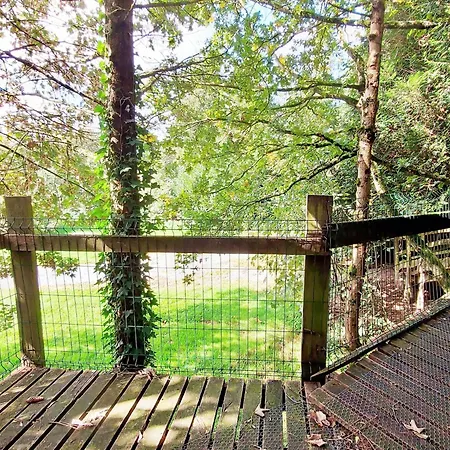 Familiale Tout Confort Avec Jardin, Animaux, Piscine Chauffee Et Etangs A - Fr-1-600-214 3* Saint-Thomas-de-Courceriers