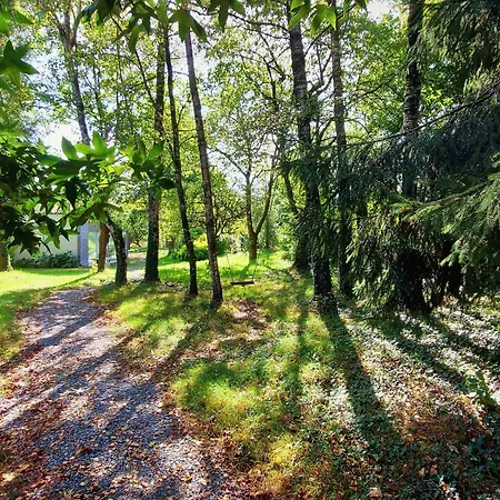 Familiale Tout Confort Avec Jardin, Animaux, Piscine Chauffee Et Etangs A - Fr-1-600-214 Saint-Thomas-de-Courceriers