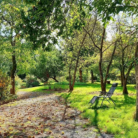 Familiale Tout Confort Avec Jardin, Animaux, Piscine Chauffee Et Etangs A - Fr-1-600-214 Saint-Thomas-de-Courceriers